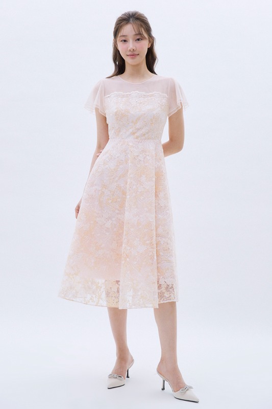 Dolly Girl Dress - Pale Pink